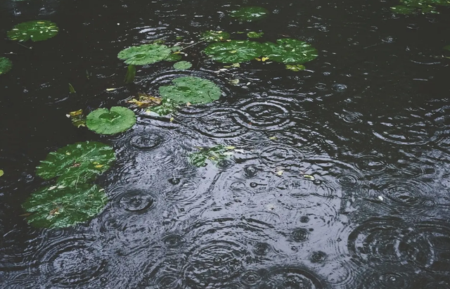 「诗词鉴赏」夏天的那场大雨，那些大雨的诗词，大气磅礴雄阔壮观