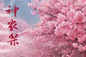 湖北17市州最新赏樱地图出炉！图片