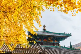 九个古朴韵味的古语词汇，你认识几个？图片