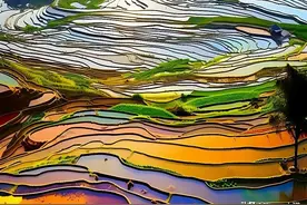 广西五彩梯田，太美了图片