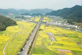 为什么高速两边50米内不能种庄稼？种出来的大米你可能不敢吃图片