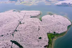 【天眼关注】热点问题回应！贵安樱花园乐游优化升级进行中图片