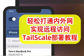 部署TailScale，实现远程访问！最简单的远程访问、开箱即用方案图片