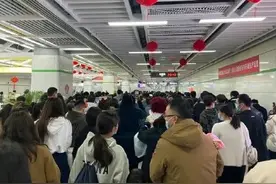人从众！厦门人都出门追蓝眼泪啦！蓝眼泪究竟是啥？图片