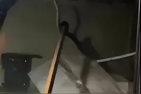 大蛇压顶？吉林村民家被3条大蛇压塌，为何当地老人说是好事？图片