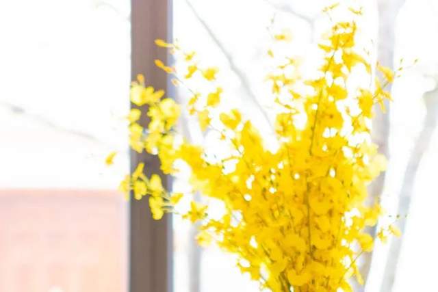 四川省民生研究会新媒体中心-官网