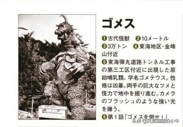 奥特曼被怪兽h视频（奥特Q怪兽图鉴）