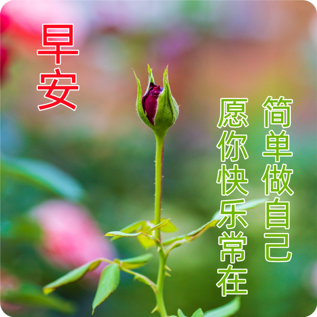 元气满满的早安文案 发朋友圈的正能量早安句子