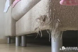 租户违约突然搬走，满屋狼藉该咋赔？图片