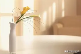 “人生于世，各有天命”：在你降生的那一刻，命的好坏，就注定了图片