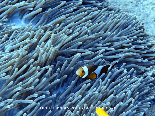 ʵ�⣬����Ǳˮ����õ�����װ������Щ