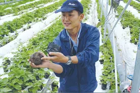 2006年，日本在山东租1500亩地，荒废五年啥也不干，到底啥谋划？图片
