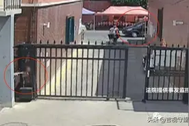 女孩钻铁门栅栏玩耍，没想到门突然动了……图片