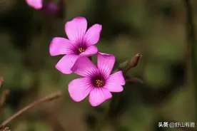 “冷庙烧香，必遇贵人”：逼自己跟这几个人搞好关系，会越来越顺图片