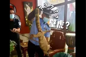 云南发现一只“五爪金龙”，曾消失了10多年，为何现在又出现？图片