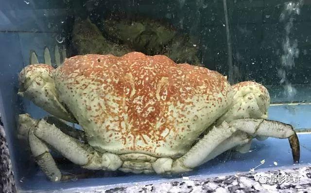 40头的花胶是几级 2025年花胶40头是什么意思?