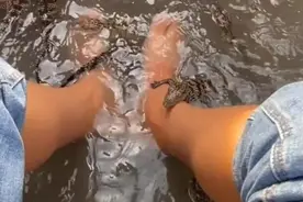 每日搞笑：大头儿子小头爸爸围裙妈妈模特，毁童年系列图片