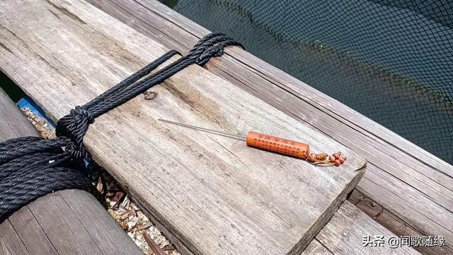 海钓上饵技巧,这样挂沙蚕,轻松牢固