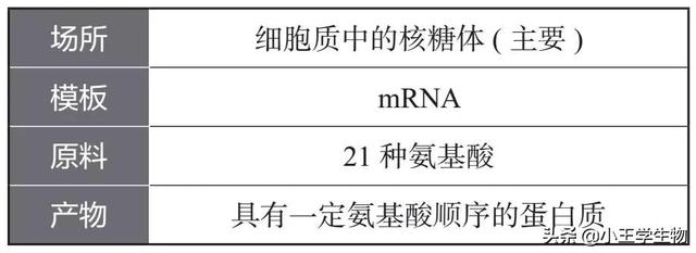 高中生物易错题NO.17基因的表达