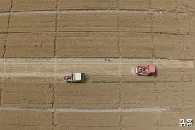 全程机械化助力“麦”向丰收丨保定：408.3万亩小麦开镰收割图片