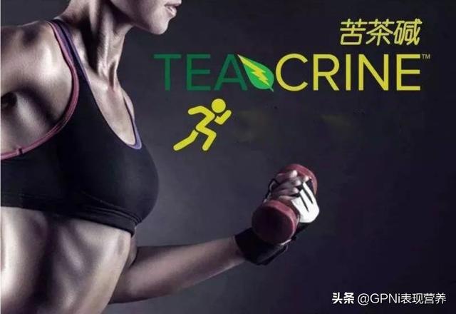 ISSN 2020年会议演讲内容：训练前补充剂