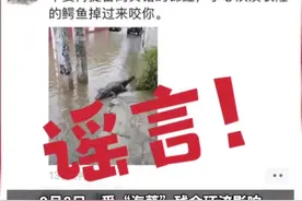 广州番禺辟谣鳄鱼出逃：“长隆的鳄鱼跑出来了，游到钟村那个隧道”系谣言图片
