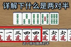 详细讲解什么是两对半图片