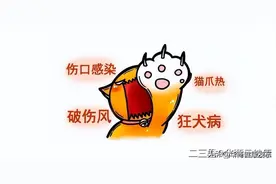 “铲屎官”注意！9岁多的女童反复高烧不退，竟是撸猫惹的祸！图片