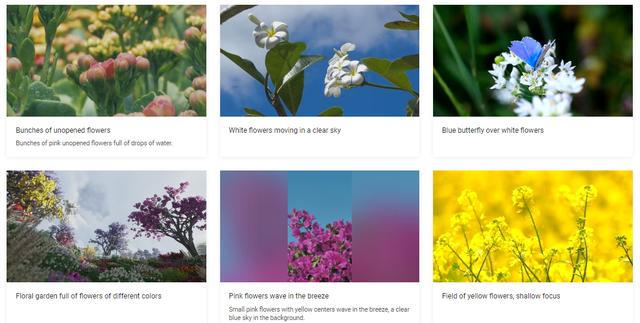 好用的免费素材网站都在这里啦，超级干货，赶快收藏吧