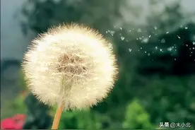 喜欢聊这两个话题的男人，人品都很一般图片