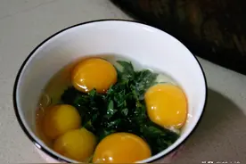南方山林里有1种植物，气臭味苦，用它煎蛋却鲜香可口，别具风味图片