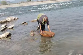 “撸铁棒”再现民间，一天狂赚上百元，为何屡禁不止？图片