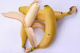 包皮术后不包扎，可以吗？图片