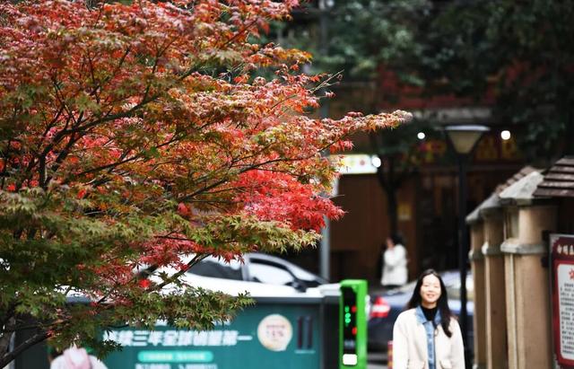 南明区：初冬时节好风景