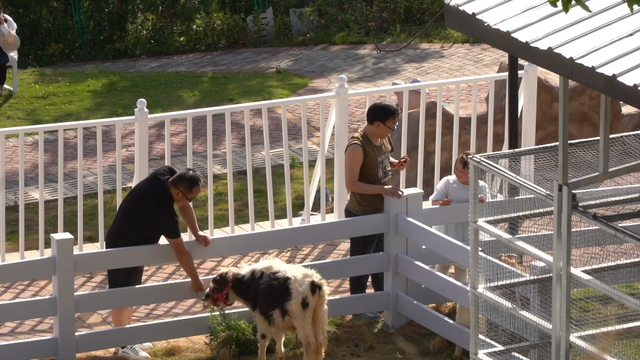 四川省民生研究会新媒体中心-官网