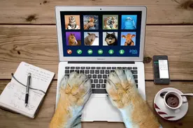 手机号码被标记，如何免费去除图片