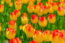 朋友关系再好，如果出现这两种情况，往往是绝交的征兆图片