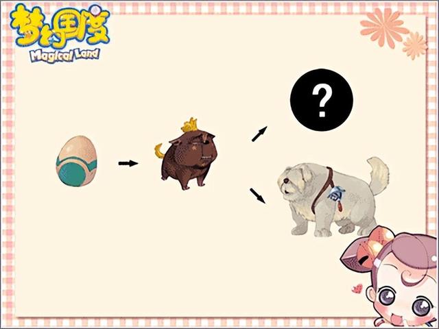 梦幻国度手游|幻灵大冒险：宠物、装备详细攻略，助你快速成长!