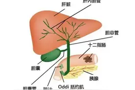 眼珠发黄，不一定是肝火旺，可能是这种癌症的前兆图片