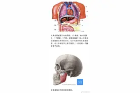人体的神秘，事实证明，人是世界上最奥秘的生物图片