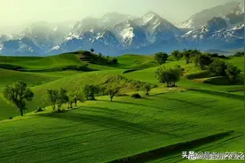 新疆旅游的璀璨新星——江布拉克景区优惠政策一览图片