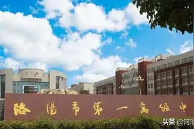 河南高考状元诞生，洛阳高中教育如何崛起？图片