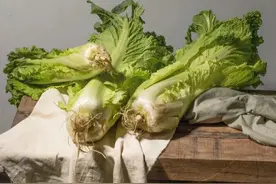 高清静物绘画素材，美术创作者：太美了不由得想画图片