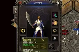 热血传奇：又见道士挂机神装，专业祖玛阁刷怪机器人图片