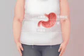 胃在哪个部位图片