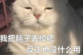 搞笑女专用表情包｜我把脑子丢掉吧 反正也没什么用图片