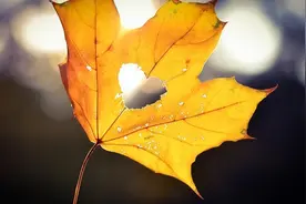 如果你经常有这三种感觉，说明有人正在暗恋你，别不懂图片