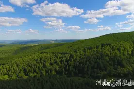 一个名字，一片林！关于塞罕坝我们必须知道的故事……图片
