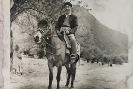 在人间：我和我的警卫员图片