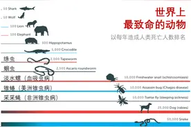 世界上最危险的动物是人类吗？进来看看正确答案图片
